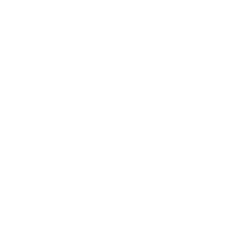 phone-icon